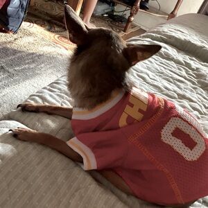 Meet your Posher, Angel